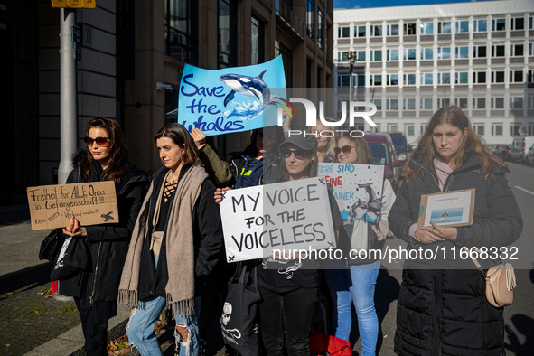 Singer Sarah Connor lies in a mini-aquarium and protests with Peta activists in front of a Tui travel agency for the release of orca whales...