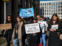 Singer Sarah Connor lies in a mini-aquarium and protests with Peta activists in front of a Tui travel agency for the release of orca whales...