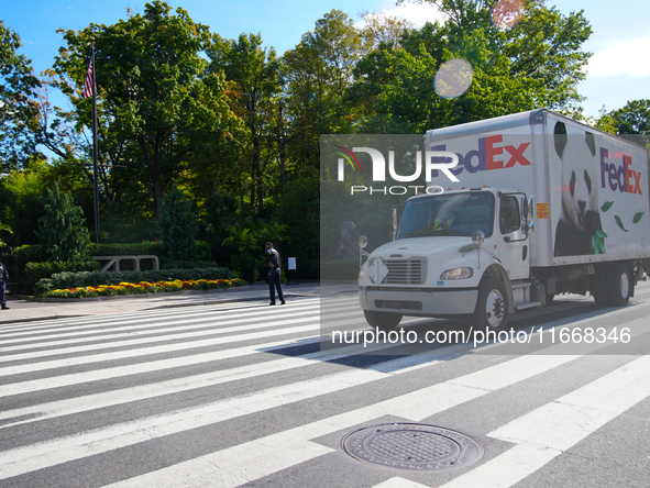 Pandas arrive at the National Zoo in Washington, DC, on October 15, 2024. The pandas, named Bao Li and Qing Bao, live in DC for the next 10...