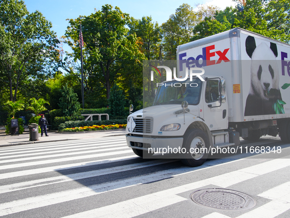 Pandas arrive at the National Zoo in Washington, DC, on October 15, 2024. The pandas, named Bao Li and Qing Bao, live in DC for the next 10...