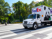 Pandas arrive at the National Zoo in Washington, DC, on October 15, 2024. The pandas, named Bao Li and Qing Bao, live in DC for the next 10...