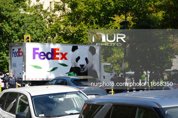 Pandas arrive at the National Zoo in Washington, DC, on October 15, 2024. The pandas, named Bao Li and Qing Bao, live in DC for the next 10...