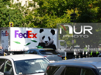 Pandas arrive at the National Zoo in Washington, DC, on October 15, 2024. The pandas, named Bao Li and Qing Bao, live in DC for the next 10...