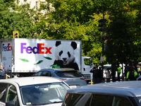 Pandas arrive at the National Zoo in Washington, DC, on October 15, 2024. The pandas, named Bao Li and Qing Bao, live in DC for the next 10...