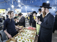 Jewish Clerics Carefully Inspect The Citron, A Fruit From The Lemon Tree And One Of The ''four Kinds'' As Mentioned In Leviticus 23:40, Near...