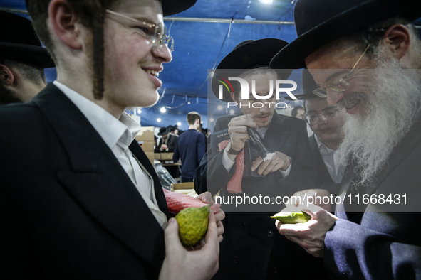 Jewish Clerics Carefully Inspect The Citron, A Fruit From The Lemon Tree And One Of The ''four Kinds'' As Mentioned In Leviticus 23:40, Near...