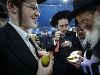 Jewish Clerics Carefully Inspect The Citron, A Fruit From The Lemon Tree And One Of The ''four Kinds'' As Mentioned In Leviticus 23:40, Near...