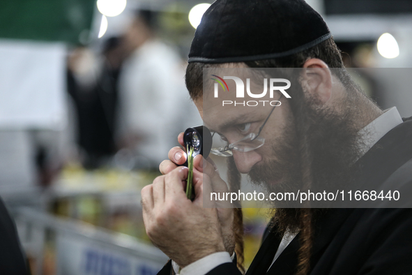 Jewish Clerics Carefully Inspect The Citron, A Fruit From The Lemon Tree And One Of The ''four Kinds'' As Mentioned In Leviticus 23:40, Near...