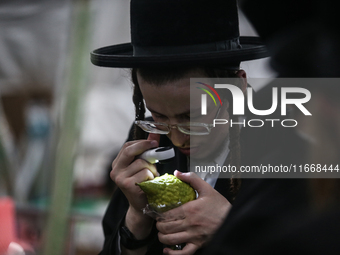 Jewish Clerics Carefully Inspect The Citron, A Fruit From The Lemon Tree And One Of The ''four Kinds'' As Mentioned In Leviticus 23:40, Near...