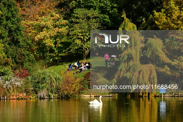 A swan is on the lake of the garden of the Bois Marquis in Vernioz, France, on October 15, 2024. 