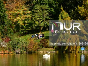 A swan is on the lake of the garden of the Bois Marquis in Vernioz, France, on October 15, 2024. (