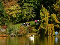 A swan is on the lake of the garden of the Bois Marquis in Vernioz, France, on October 15, 2024. (