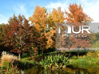 An autumn forest is in the garden of the Bois Marquis in Vernioz, France, on October 15, 2024. (