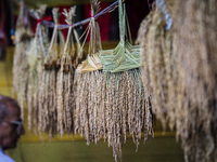 A vendor sells decorative paddy bunches on the eve of the Lakshmi Puja festival in Guwahati, India, on October 15, 2024. Lakshmi is one of t...