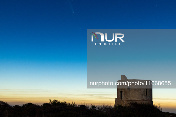 The comet Tsuchinshan-ATLAS (C/2023 A3) is seen over Torre del Pizzo, in Gallipoli, Italy, on October 15, 2024. The comet's coma, or head, m...