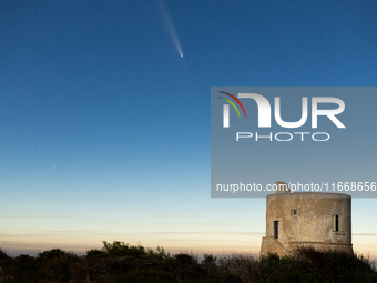 The comet Tsuchinshan-ATLAS (C/2023 A3) is seen over Torre del Pizzo, in Gallipoli, Italy, on October 15, 2024. The comet's coma, or head, m...