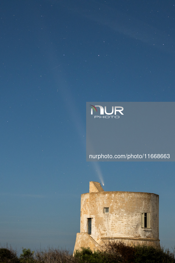 The comet Tsuchinshan-ATLAS (C/2023 A3) is seen over Torre del Pizzo, in Gallipoli, Italy, on October 15, 2024. The comet's coma, or head, m...