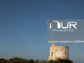 The comet Tsuchinshan-ATLAS (C/2023 A3) is seen over Torre del Pizzo, in Gallipoli, Italy, on October 15, 2024. The comet's coma, or head, m...