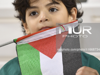 A fan of Palestine cheers during the FIFA World Cup 2026 Asian Qualifiers third round group B match between Palestine and Kuwait at Jassim B...