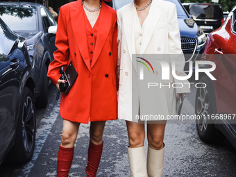 Amiaya attends the Max Mara Fashion Show during the Milan Womenswear Spring/Summer 2025 in Milan, Italy, on September 19, 2024 (