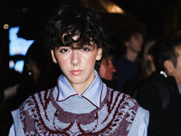 Ariete attends the Etro Fashion Show during the Milan Womenswear Spring/Summer 2025 in Milan, Italy, on September 18, 2024 (