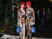 Amiaya attends the Etro Fashion Show during the Milan Womenswear Spring/Summer 2025 in Milan, Italy, on September 18, 2024 (