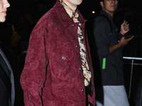 Diodato attends the Etro Fashion Show during the Milan Womenswear Spring/Summer 2025 in Milan, Italy, on September 18, 2024 (