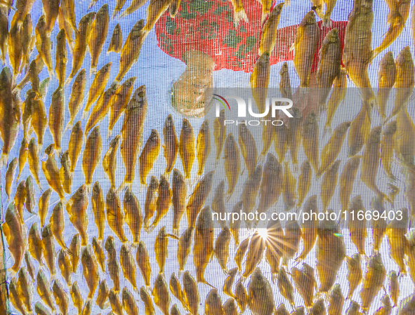 A farmer dries fish in Suqian, China, on October 15, 2024. 