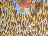 A farmer dries fish in Suqian, China, on October 15, 2024. (