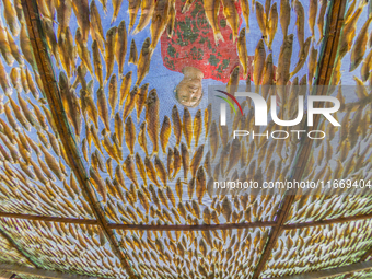 A farmer dries fish in Suqian, China, on October 15, 2024. (