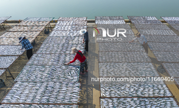 A farmer dries fish in Suqian, China, on October 15, 2024. 