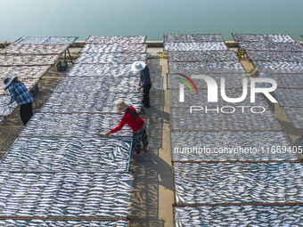 A farmer dries fish in Suqian, China, on October 15, 2024. (