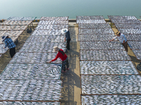 A farmer dries fish in Suqian, China, on October 15, 2024. (