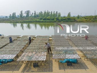 A farmer dries fish in Suqian, China, on October 15, 2024. (