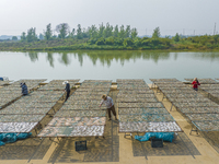 A farmer dries fish in Suqian, China, on October 15, 2024. (