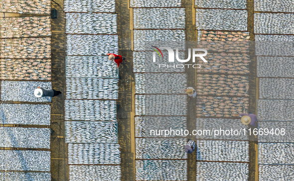 A farmer dries fish in Suqian, China, on October 15, 2024. 