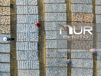 A farmer dries fish in Suqian, China, on October 15, 2024. (