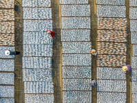 A farmer dries fish in Suqian, China, on October 15, 2024. (