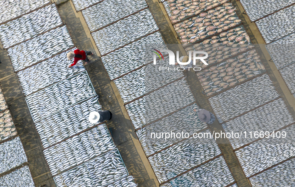 A farmer dries fish in Suqian, China, on October 15, 2024. 