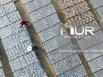 A farmer dries fish in Suqian, China, on October 15, 2024. (