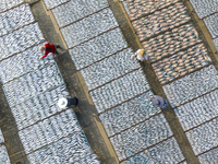 A farmer dries fish in Suqian, China, on October 15, 2024. (