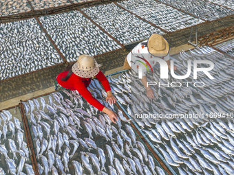 A farmer dries fish in Suqian, China, on October 15, 2024. (