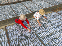 A farmer dries fish in Suqian, China, on October 15, 2024. (