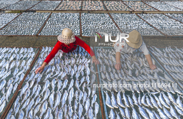 A farmer dries fish in Suqian, China, on October 15, 2024. 