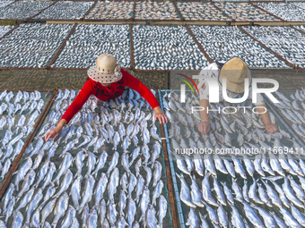 A farmer dries fish in Suqian, China, on October 15, 2024. (