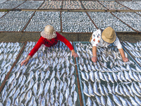 A farmer dries fish in Suqian, China, on October 15, 2024. (