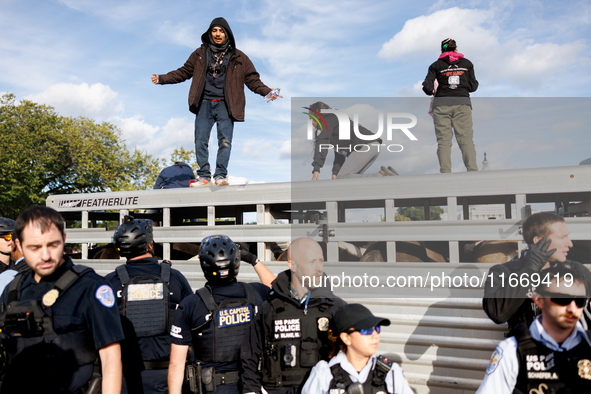 Indigenous demonstrators stand atop a horse trailer near the U.S. Capitol in Washington, D.C. on October 15, 2024 after U.S. Park Police att...