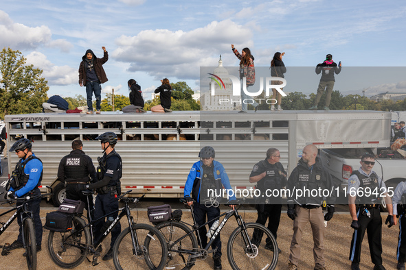 Police surround a horse trailer after Indigenous demonstrators clash with police near the U.S. Capitol in Washington, D.C. on October 15, 20...