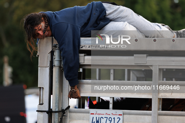 Indigenous demonstrators sit atop a horse trailer near the U.S. Capitol in Washington, D.C. on October 15, 2024 after U.S. Park Police attem...