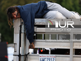 Indigenous demonstrators sit atop a horse trailer near the U.S. Capitol in Washington, D.C. on October 15, 2024 after U.S. Park Police attem...